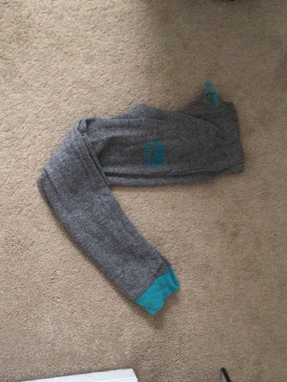 Roots Gray Joggers with Teal Accents